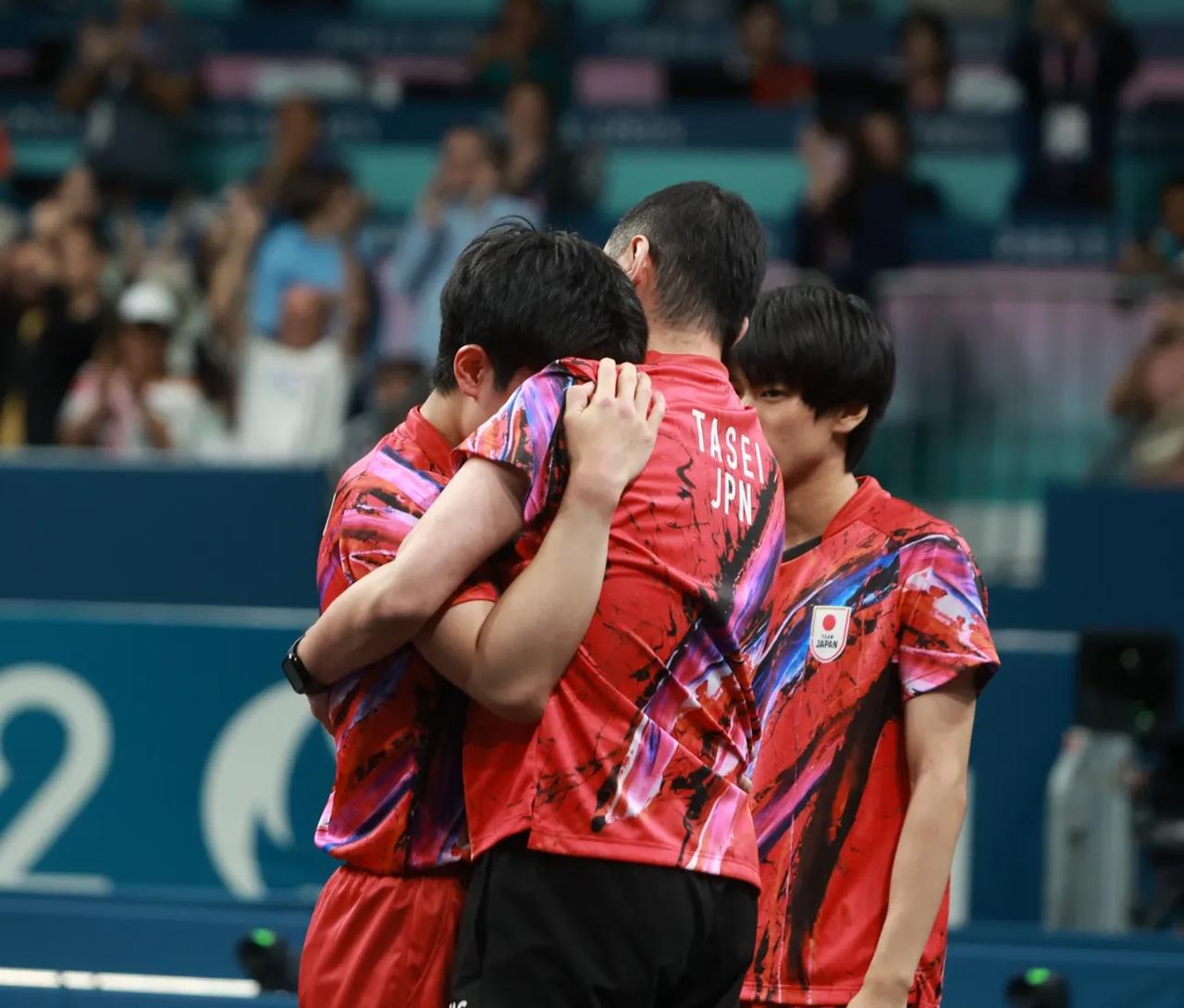 德国队翻盘法国队，张本智和扛起全队